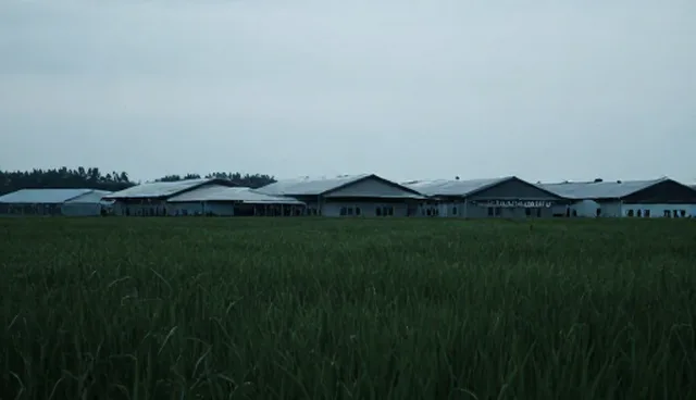 安装调试中的延迟问题如何影响用户体验
